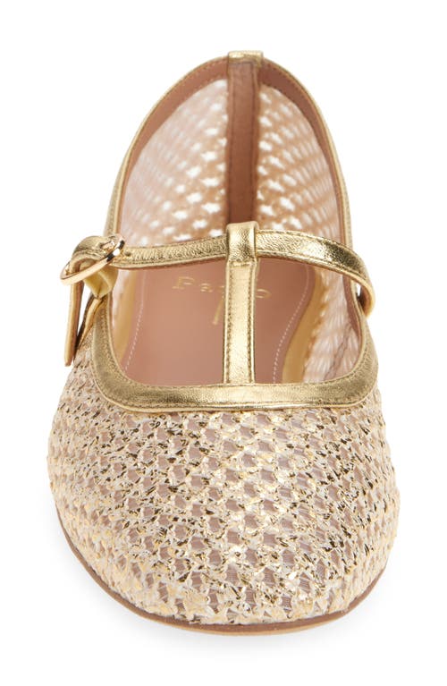 Linea Paolo Lilith Ankle Strap Sandal In Gold
