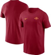 Nike Men's Nike Cardinal Iowa State Cyclones 2025 Sideline Legend Performance T-Shirt