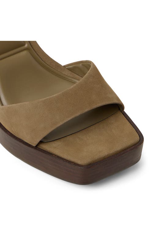 Aldo Lothon Ankle Strap Platform Sandal In Nude