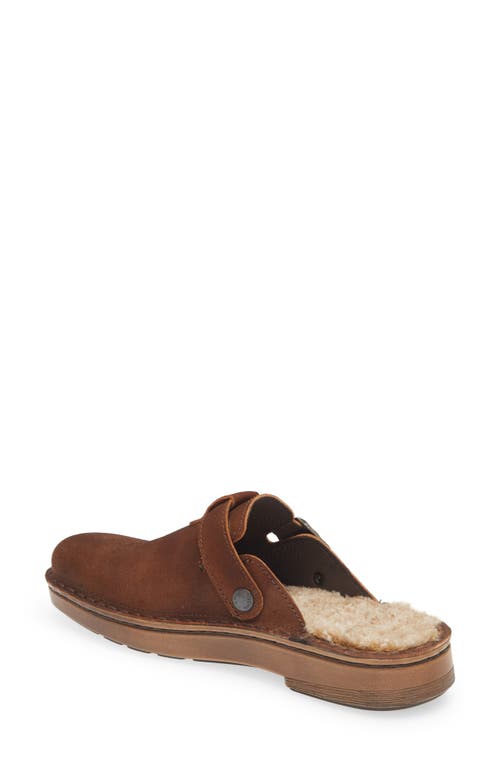 Naot Martos Faux Shearling Mule In Antique Brown Suede