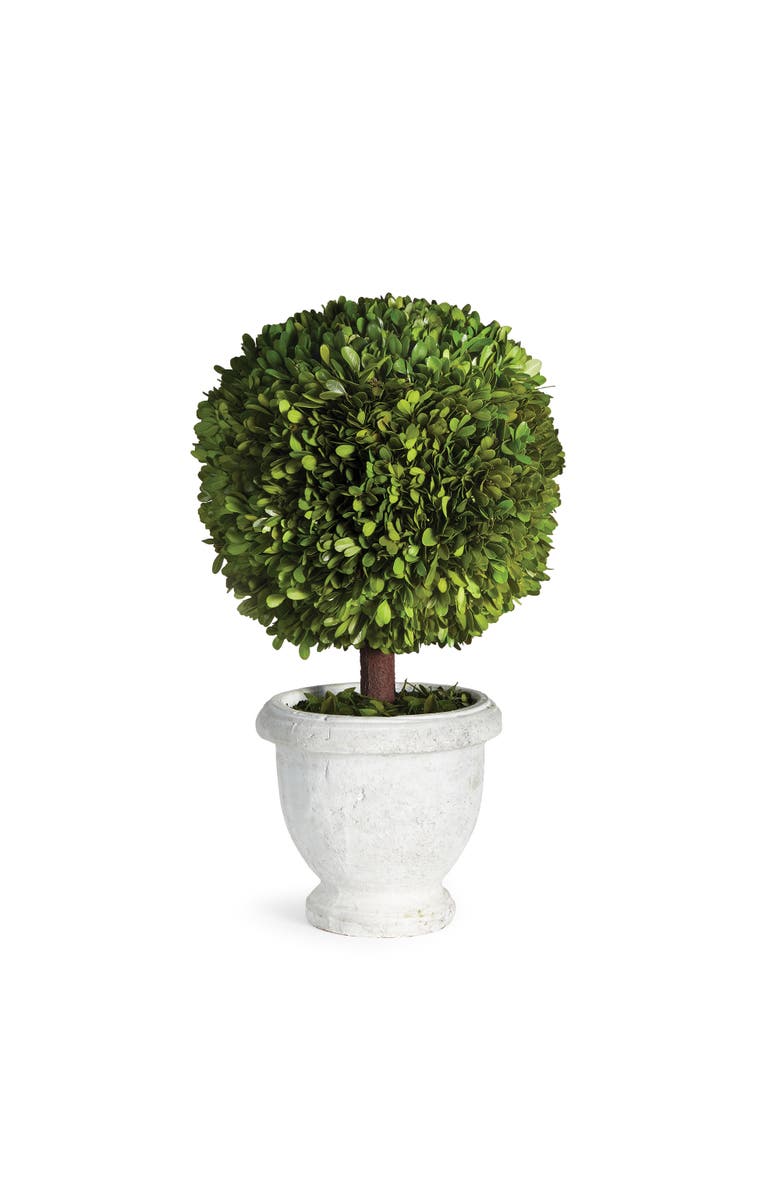 Napa Home & Garden Boxwood Single 11" Ball Topiary In Pot, Main, color, Green