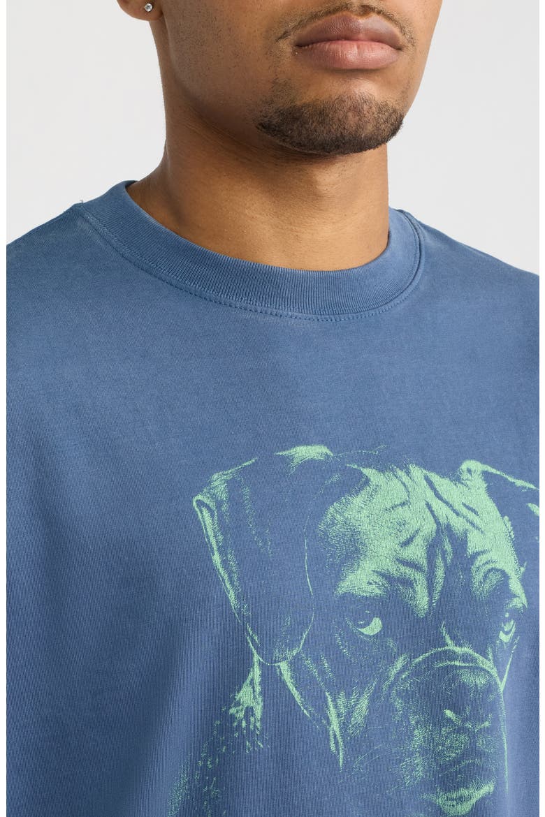 Cynical Stare Dog Graphic T-Shirt, Alternate, color, FADE BLUE