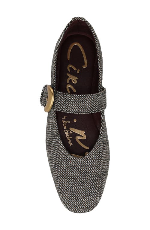 Circus Ny By Sam Edelman Bella Herringbone Mary Jane Flat In Black