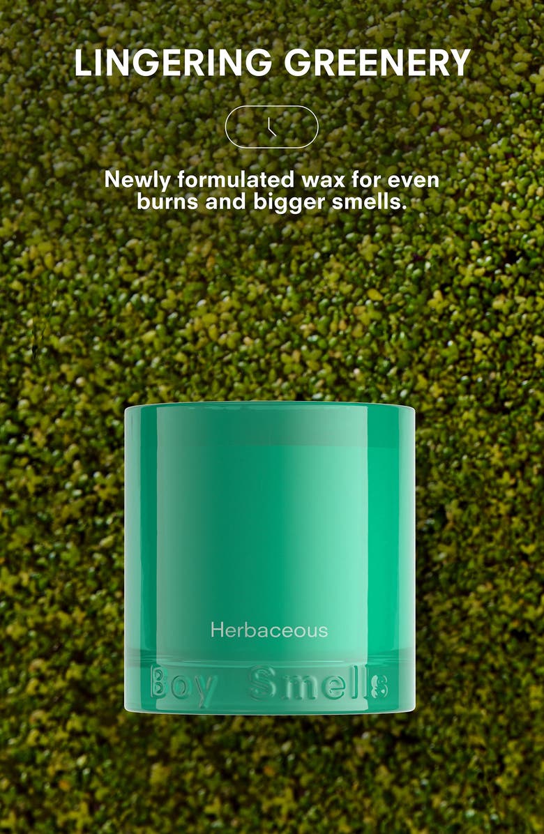 Boy Smells Herbaceous Candle, Alternate, color, 