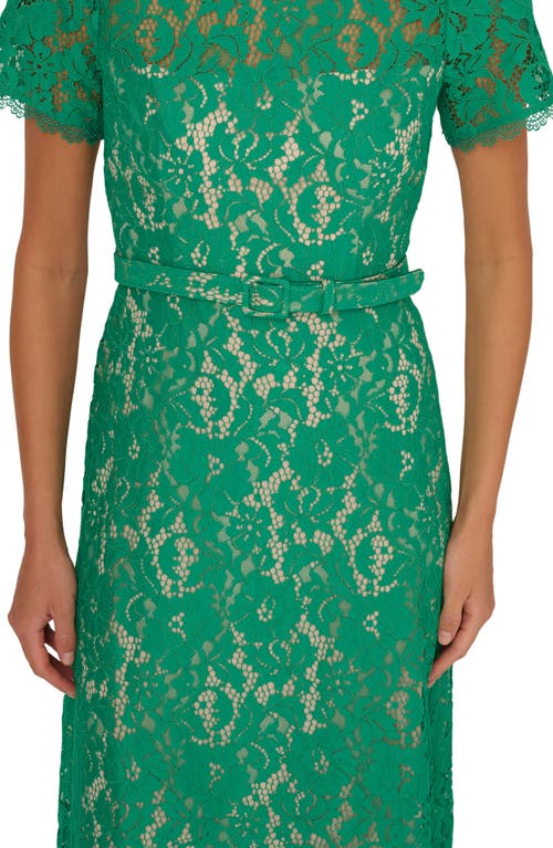 ADRIANNA PAPELL ADRIANNA PAPELL SHORT SLEEVE BELTED LACE MIDI DRESS 
