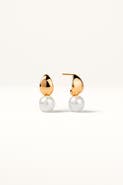Zynnia Collective Dew Pearl Drop Earrings