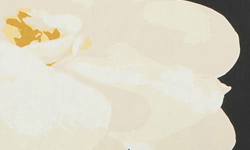 Aloha Collection Small Mohala Water Resistant Pouch In Black