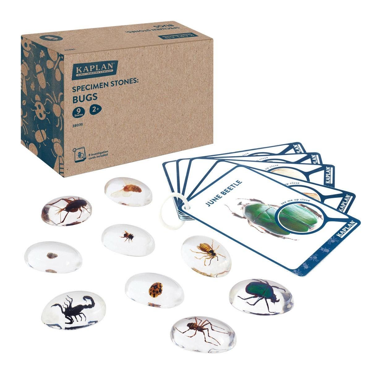 selected Clear