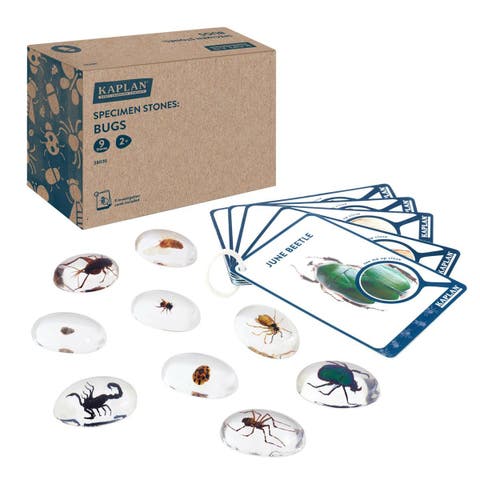 Specimen Stones Bugs - 9 Pieces
