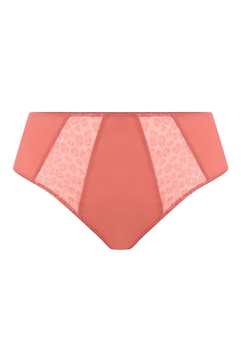 Matilda Full Figure Briefs, Alternate, color, ROSE LEO