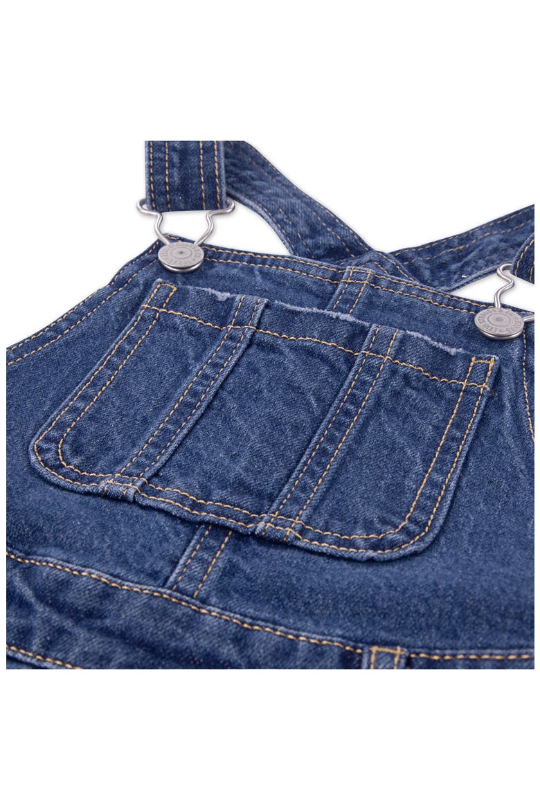Kids' Denim Cargo Overalls, Alternate, color, FAR AND WIDE