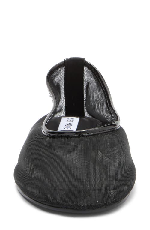 Steve Madden Meadow Flat In Black