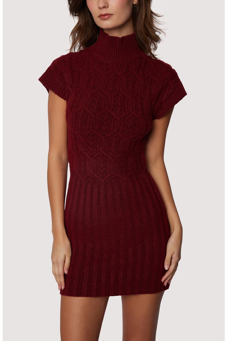 Beatrice Mixed Stitch Sweater Minidress, Alternate, color, BURGUNDY