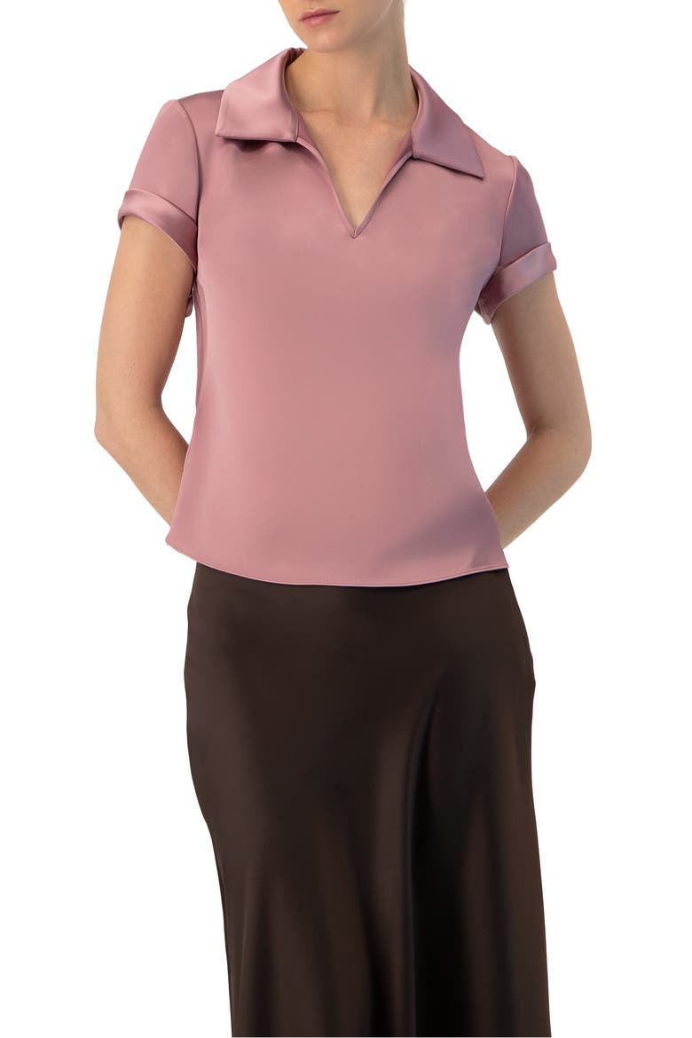Plain Short Sleeve Blouse with Shirt Collar, Main, color, Dark Pink