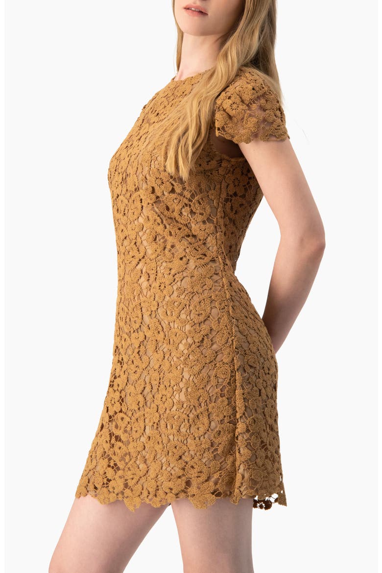 Guipure Lace Cap-Sleeve Shift Dress, Alternate, color, Light Brown