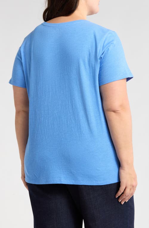 Eileen Fisher Easy V-neck Organic Cotton T-shirt In Ultramarine