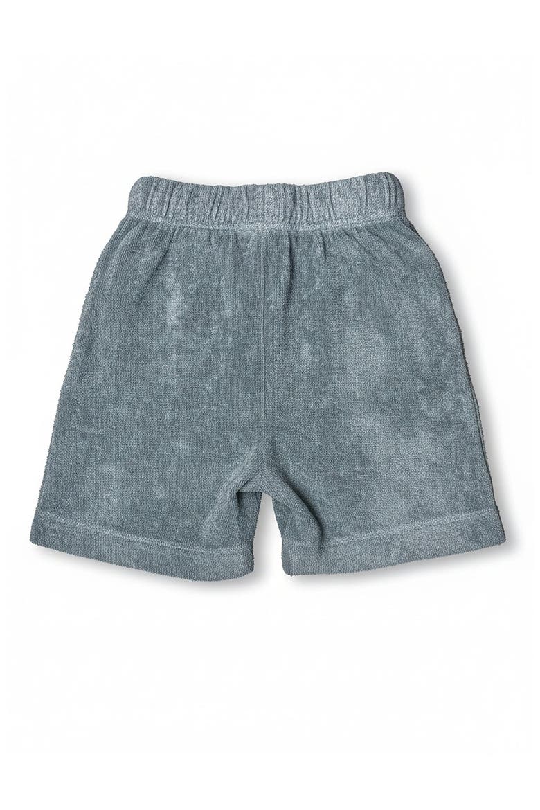 Wylie Shorts, Alternate, color, Lagoon