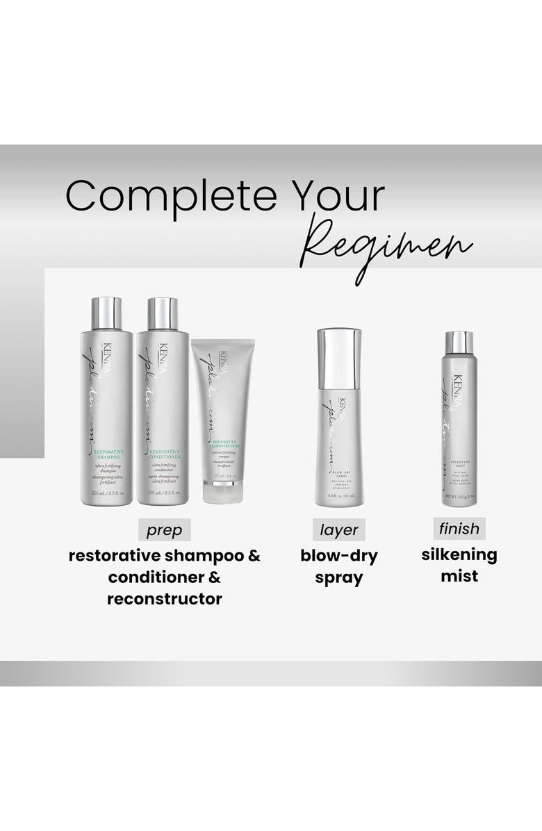 KENRA Platinum Restorative Reconstructor 6 oz, Alternate, color, N/A