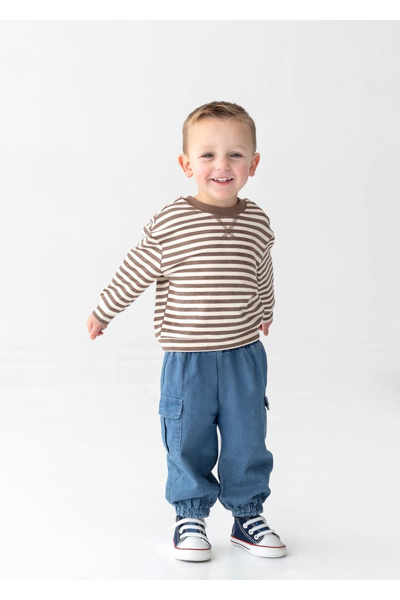 Max Long Sleeve Striped Raglan Ribbed Crew Neck Top, Alternate, color, Brown