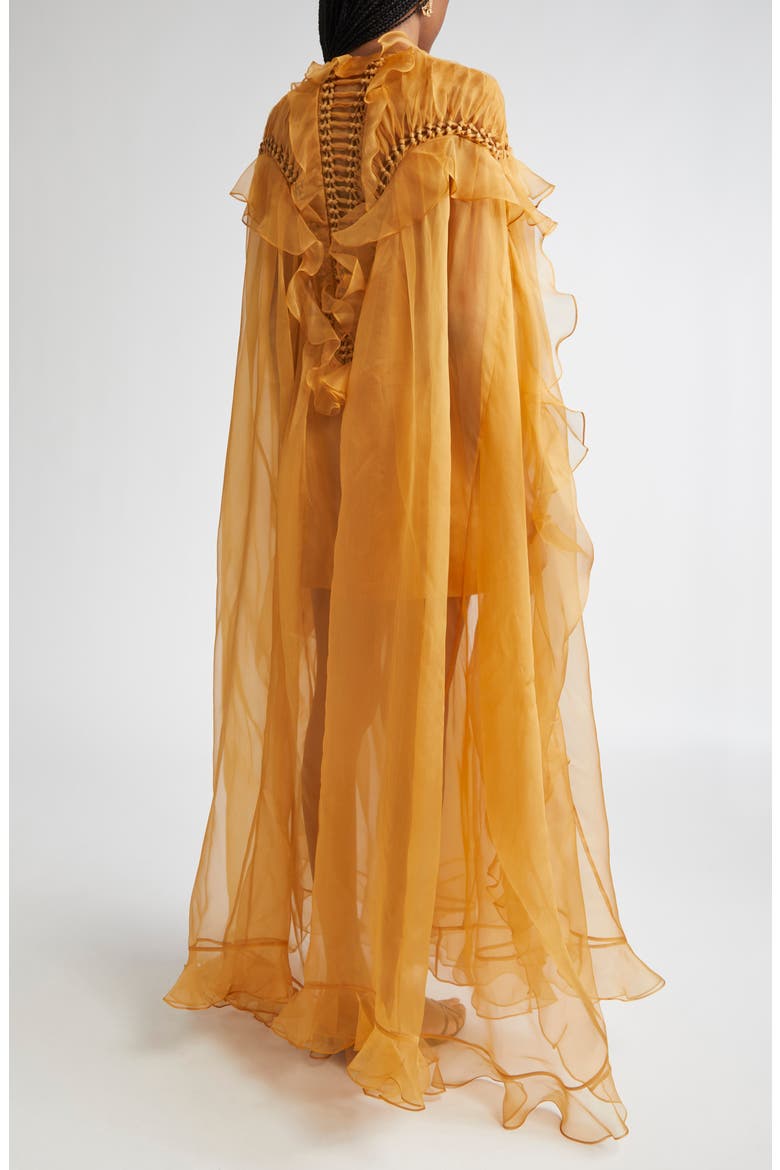 Balance Braided Trim Semisheer Silk Organza Gown, Alternate, color, TAN