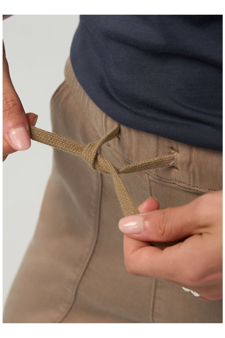 No Sweat Harbour Pant, Alternate, color, Desert-Tan