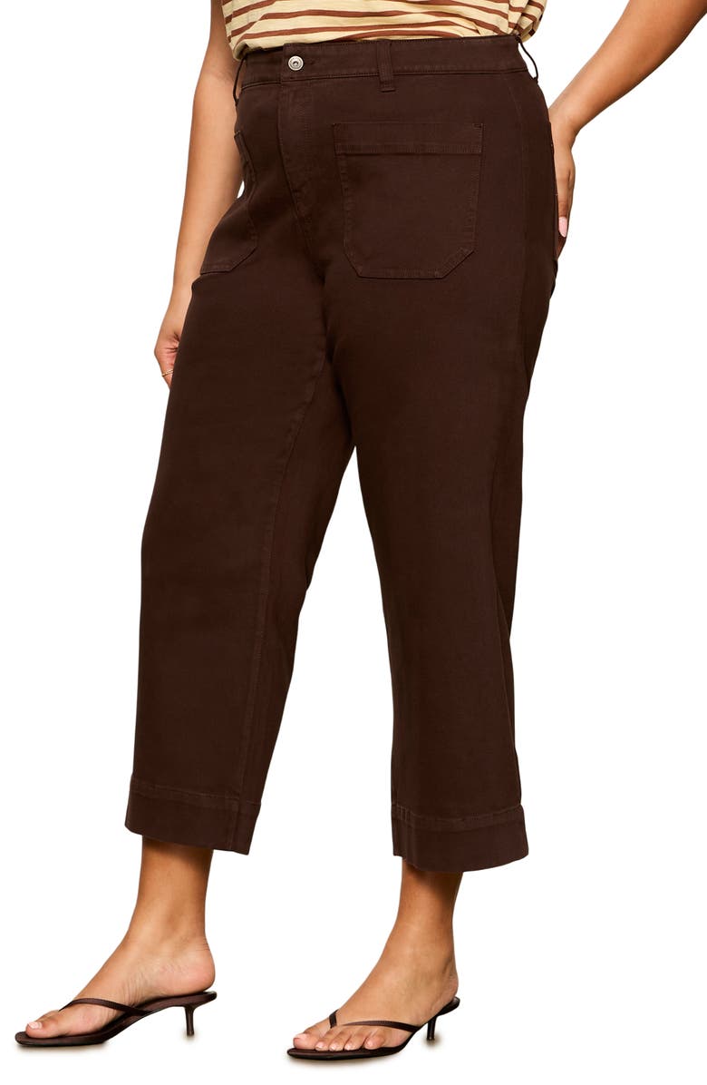Sanctuary The Marine Crop Wide Leg Jeans, Alternate, color, Rich Soil Brown