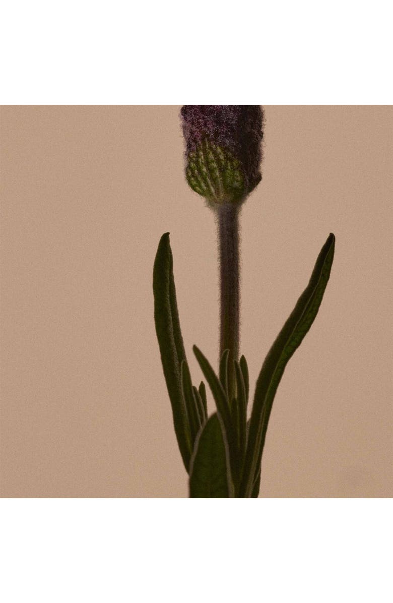 Aesop Solais Replenishing Hand Serum, Alternate, color, 