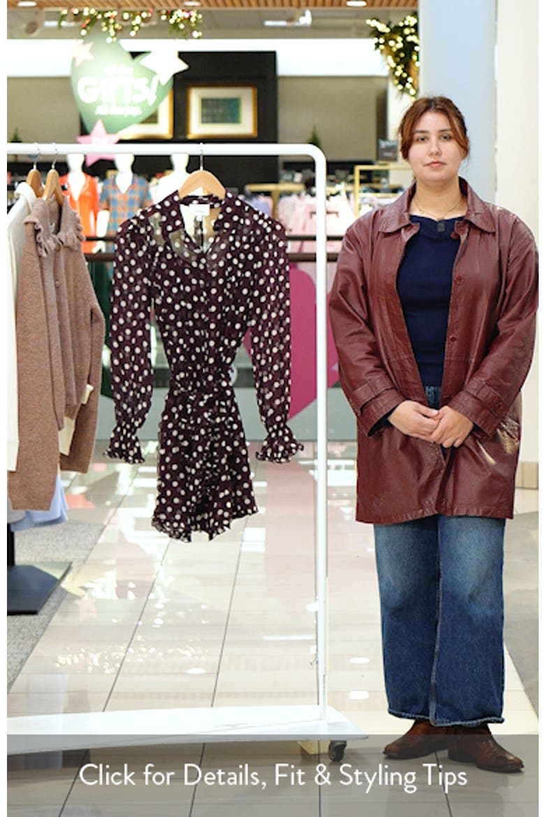 Camille Polka Dot Long Sleeve Chiffon Shirtdress video