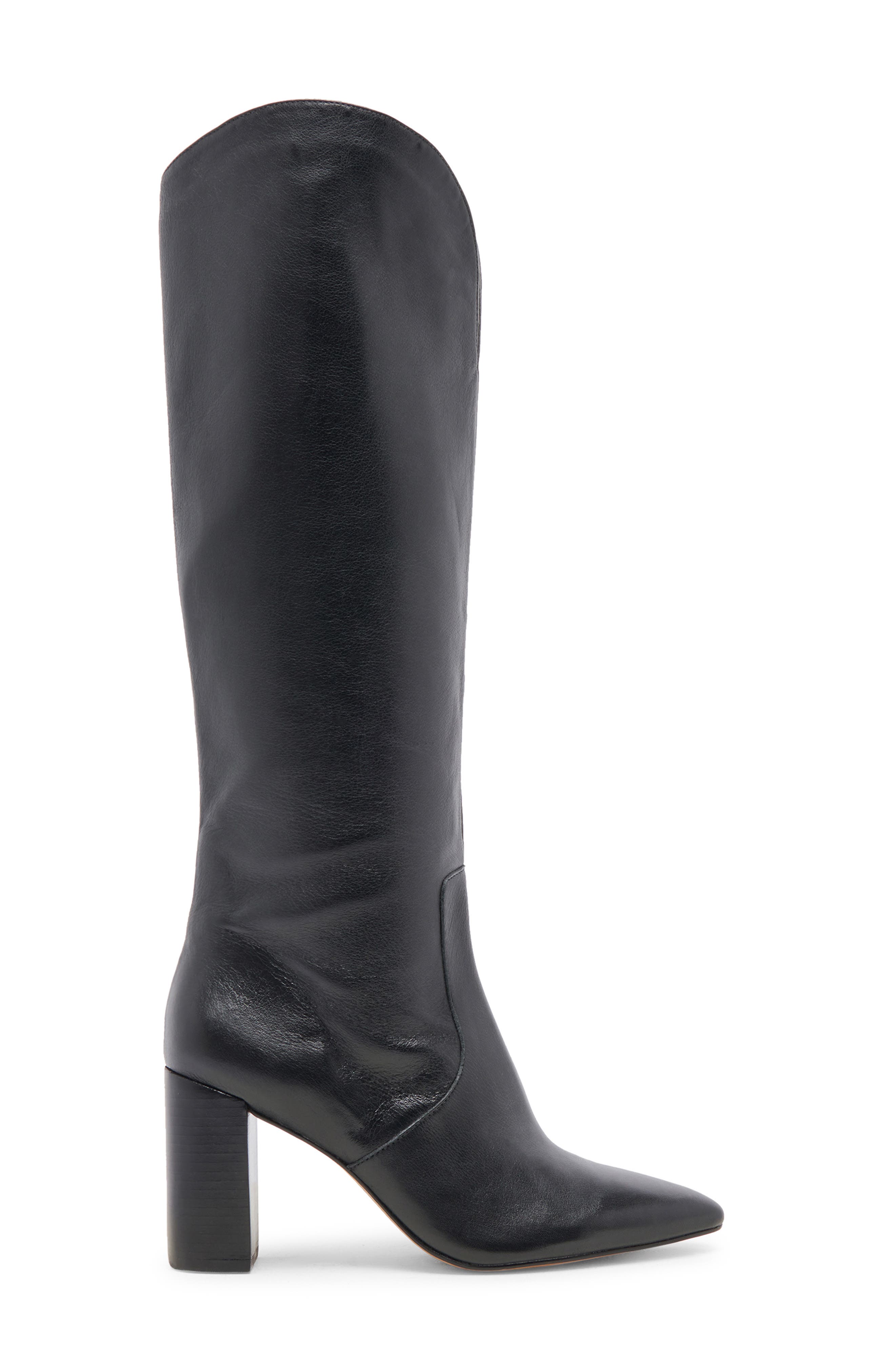 Dolce Vita Nedi Pointed Toe Knee High Boot, Alternate, color, 