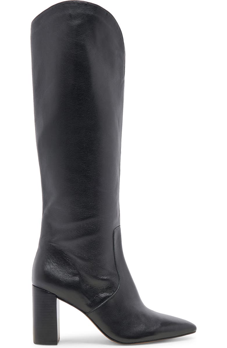 Dolce Vita Nedi Pointed Toe Knee High Boot, Alternate, color,