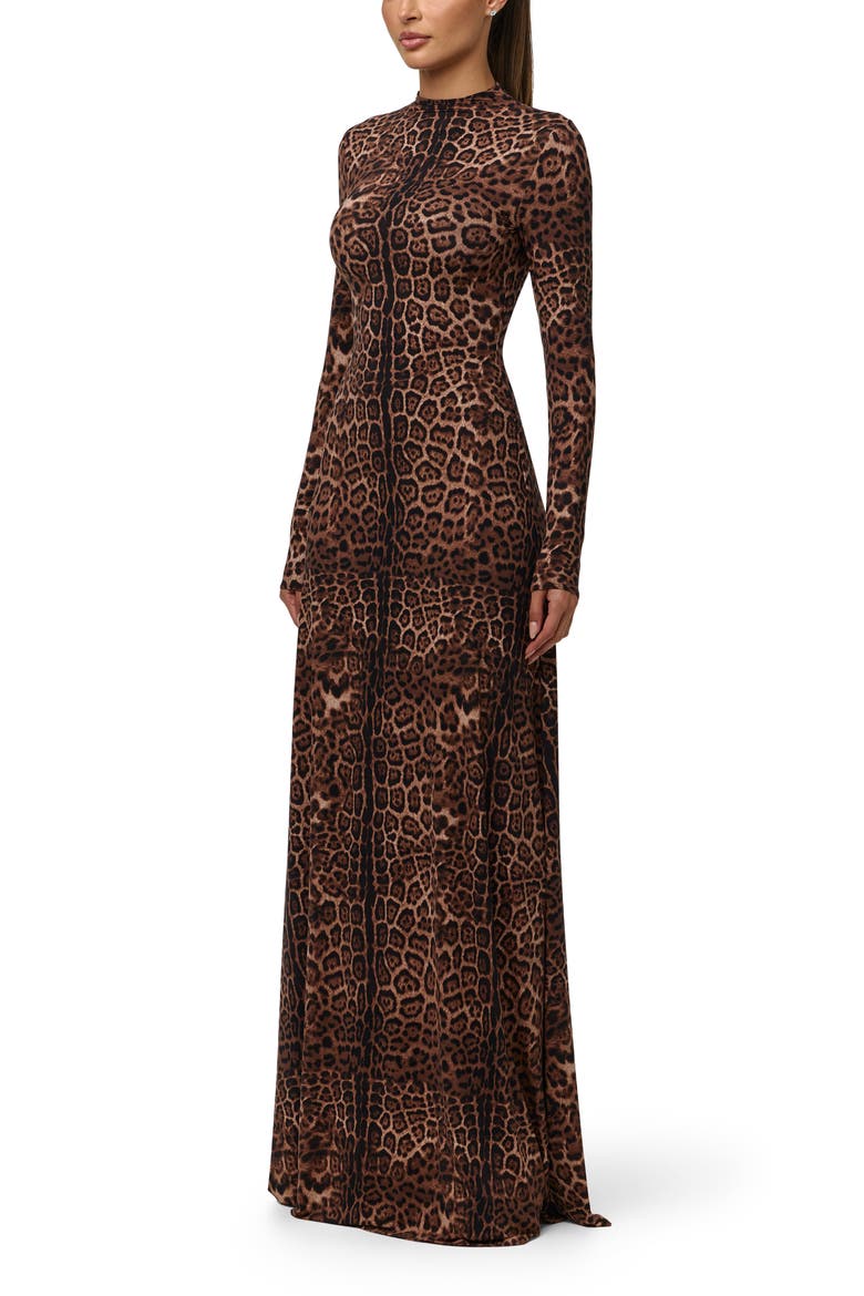Leopard Print Long Sleeve Maxi Dress, Alternate, color, BROWN LEOPARD