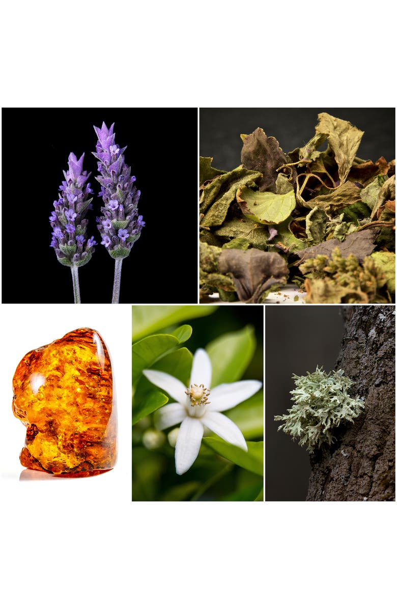 Penhaligon's Sartorial Eau de Toilette, Alternate, color,