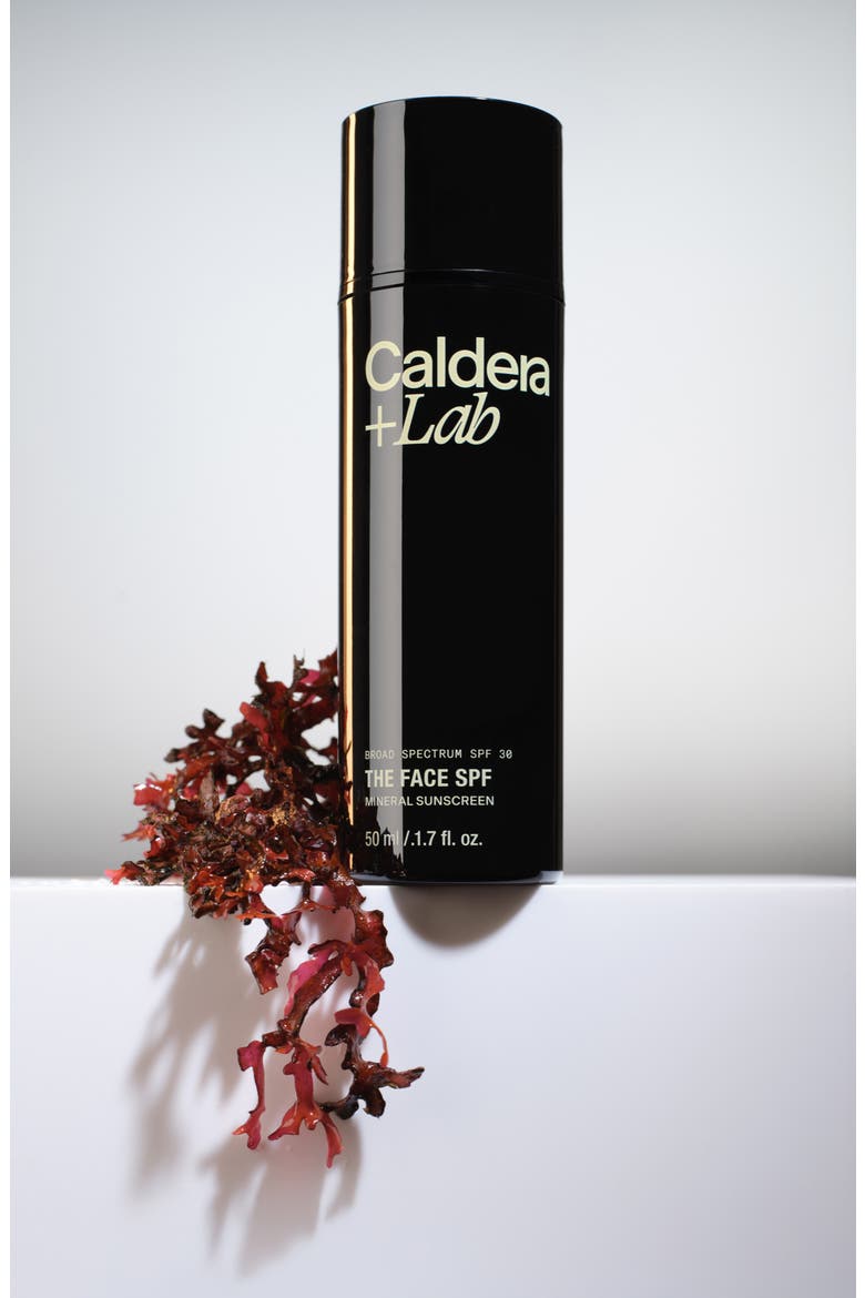The Face SPF Mineral Sunscreen SPF 30, Alternate, color, NO COLOR