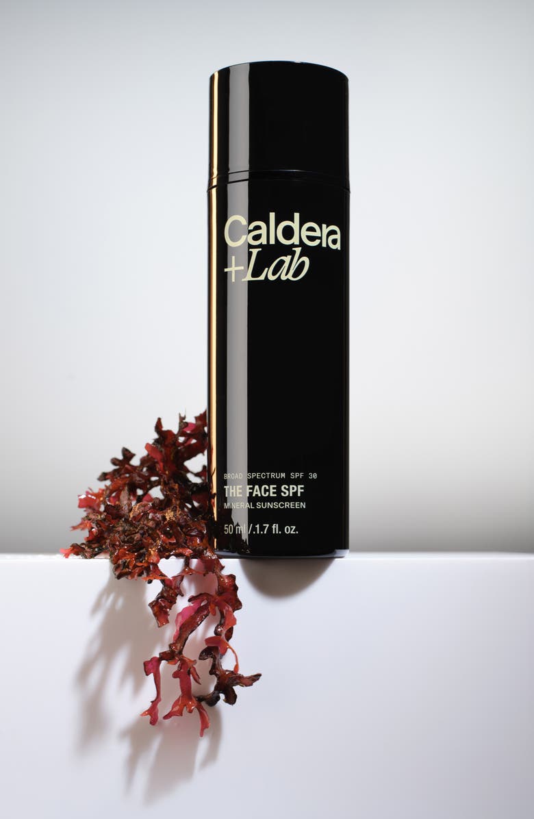 Caldera + Lab The Face SPF Mineral Sunscreen SPF 30, Alternate, color, 