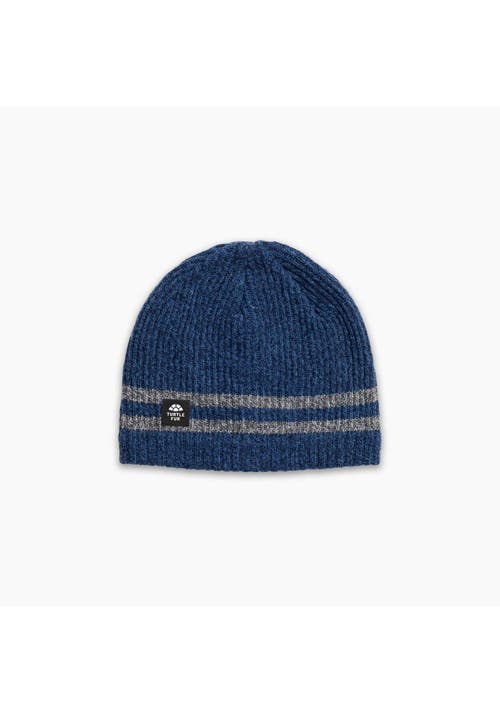 Turtle Fur Mr. Happy Wool Beanie In Blue
