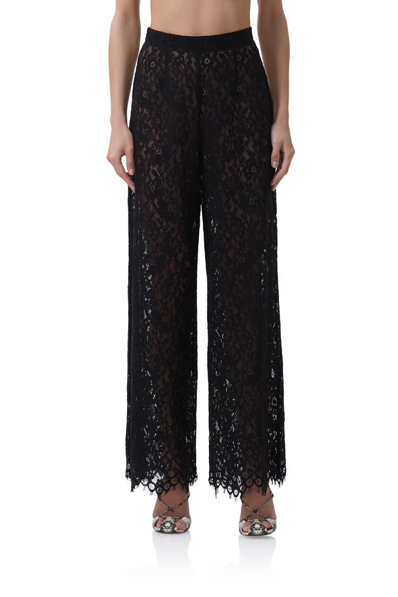 Pamela Sheer Lace Pants, Main, color, NOIR