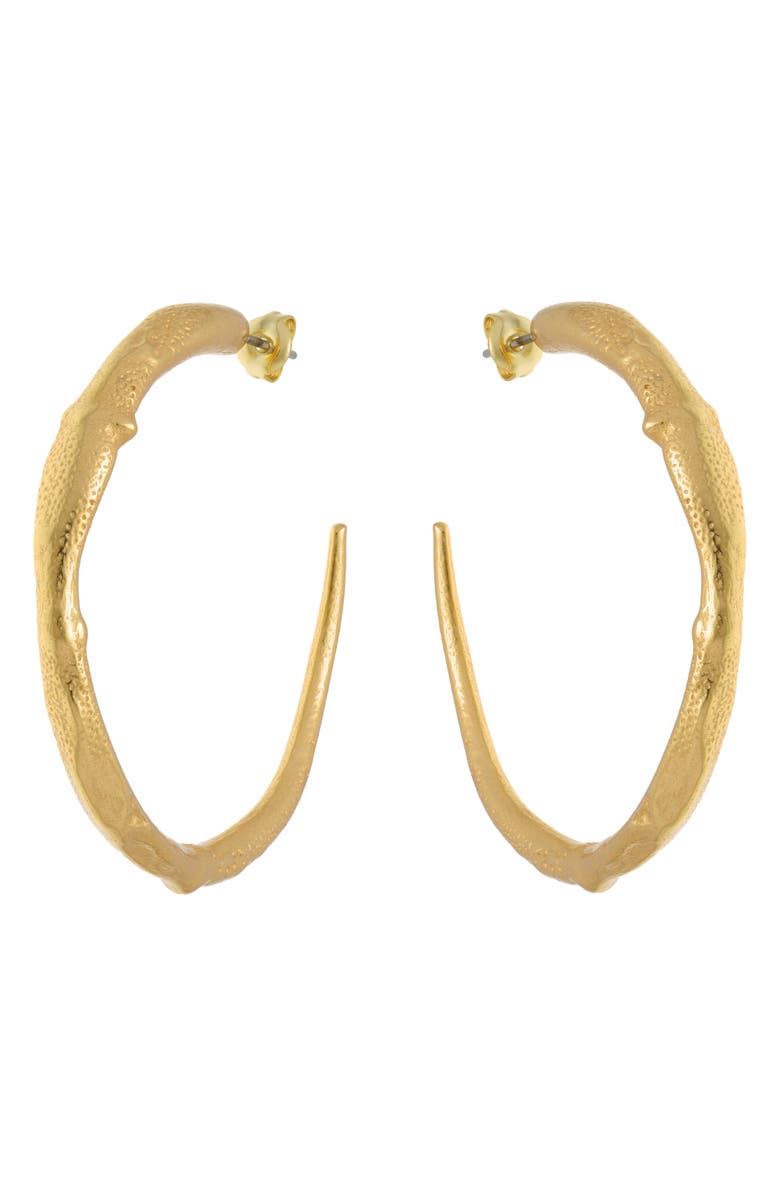 Reiss Molly Molten Hoop Earrings, Main, color, Gold Tone