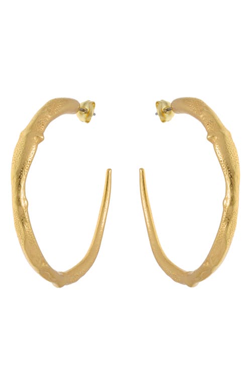Reiss Molly Molten Hoop Earrings In Gold Tone