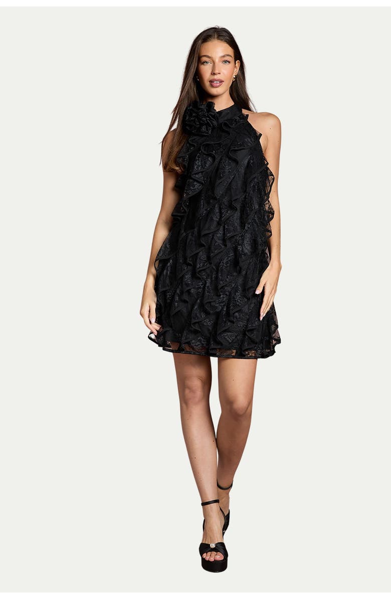 Coast Lace Frill Mini Dress, Alternate, color, Black