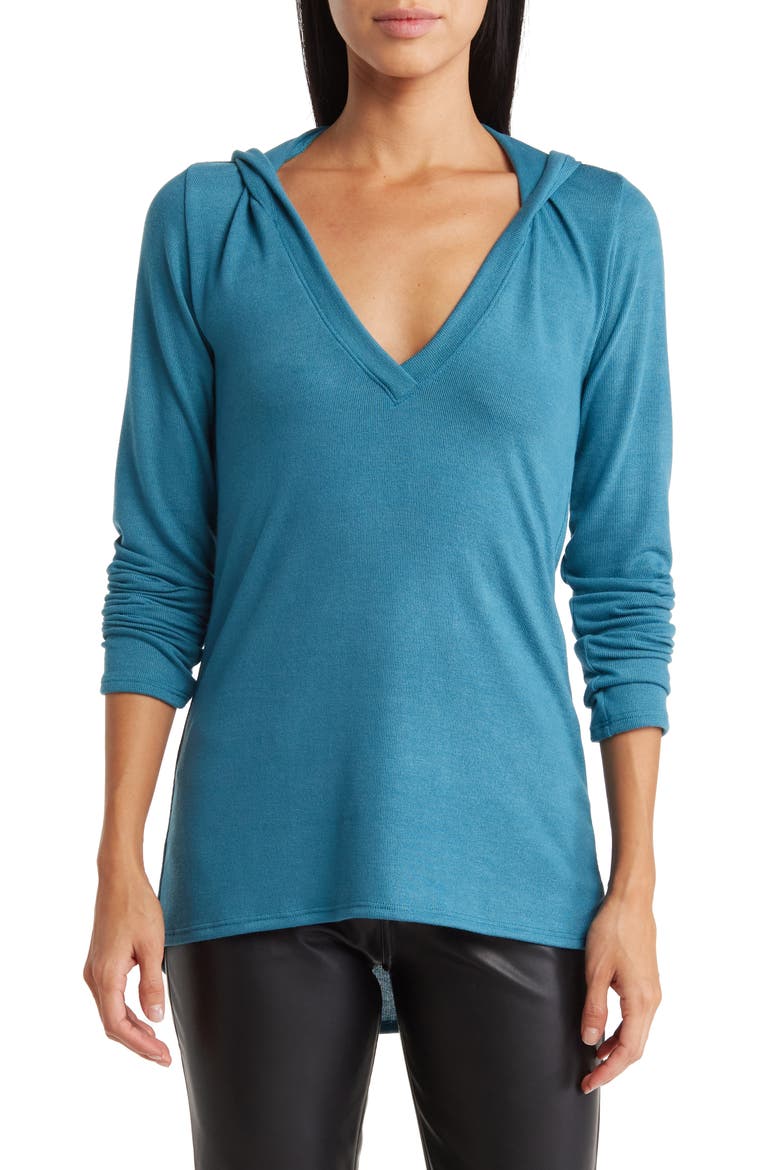 Hooded Tunic Sweater, Main, color, SKYDIVER