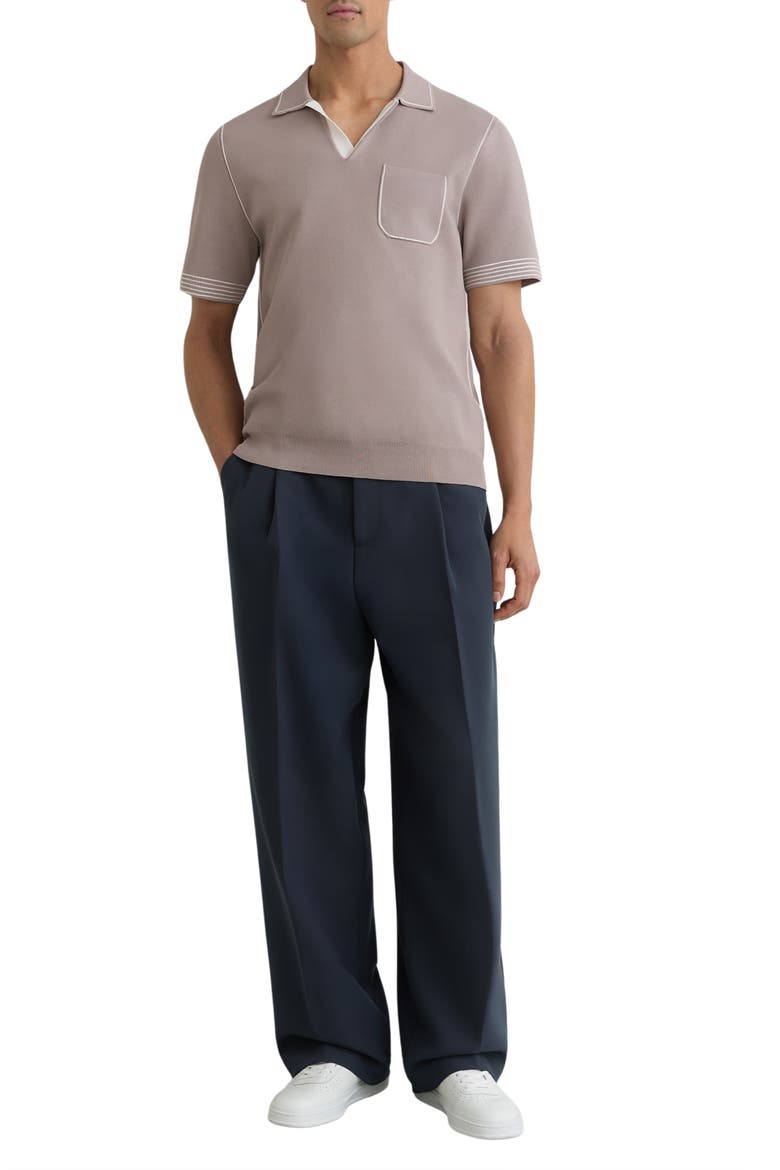 Newbury Johnny Collar Polo, Alternate, color, LIGHT TAUPE BROWN