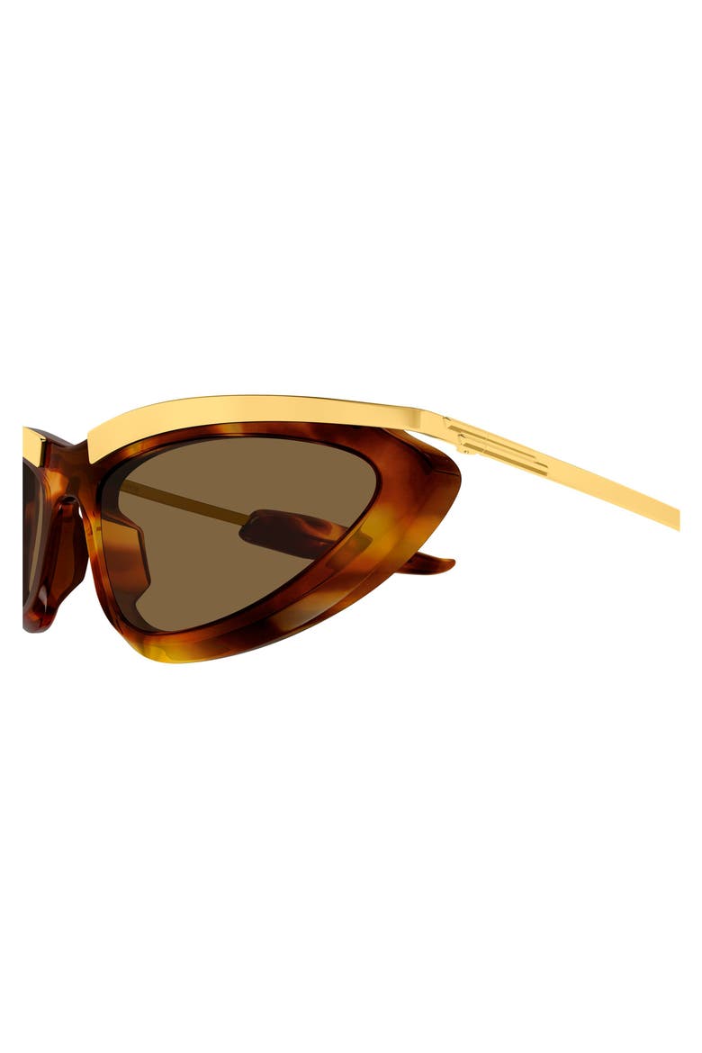 BV1477S Cat Eye Sunglasses, Alternate, color, HAVANA