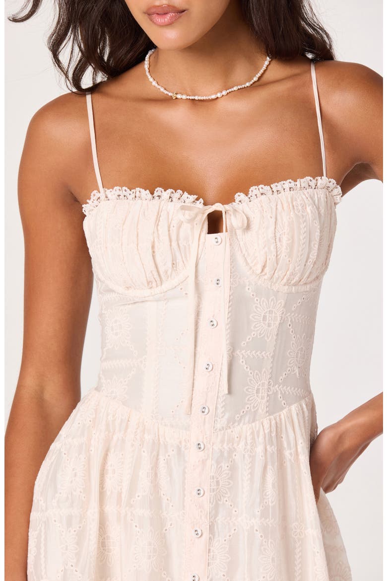 Aubrey Embroidered Sleeveless Maxi Dress, Alternate, color, BLUSH