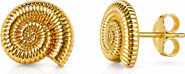 DLORIA Golden Tide Shell Stud Earrings