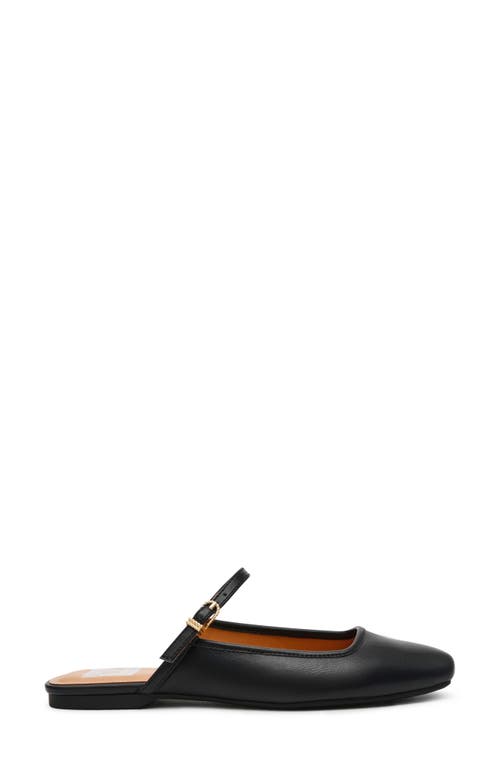 DOLCE VITA DV BY DOLCE VITA MONTRICE MULE