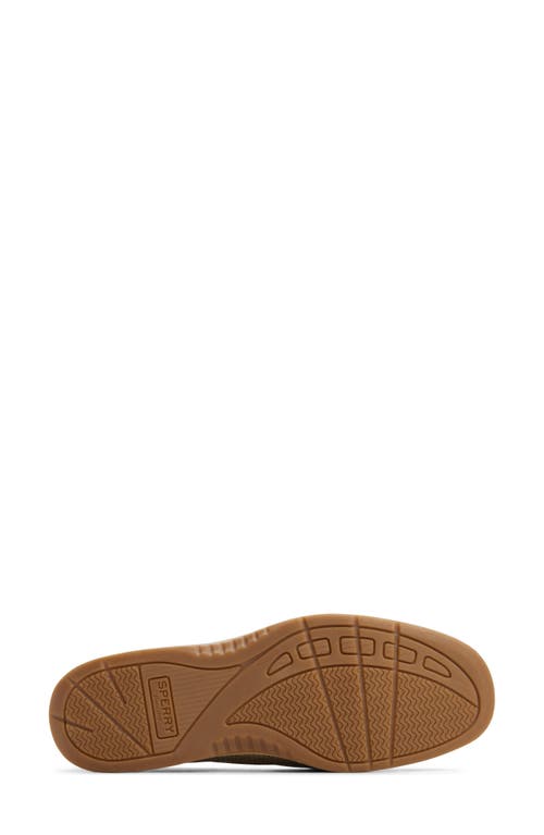 Sperry Angelfish Loafer In Brown
