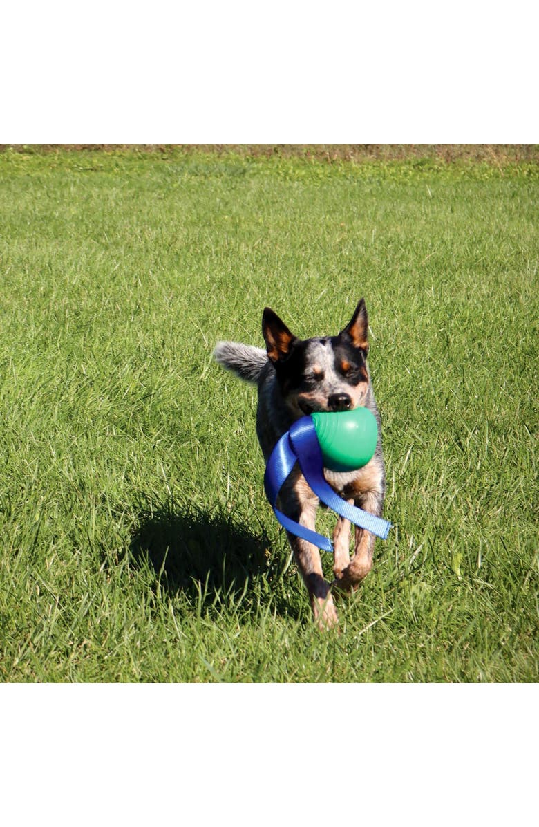 PetKORE KoreFlex Ball & Tail, 4.75 Inches, Green, Dog Toy, Alternate, color, Green