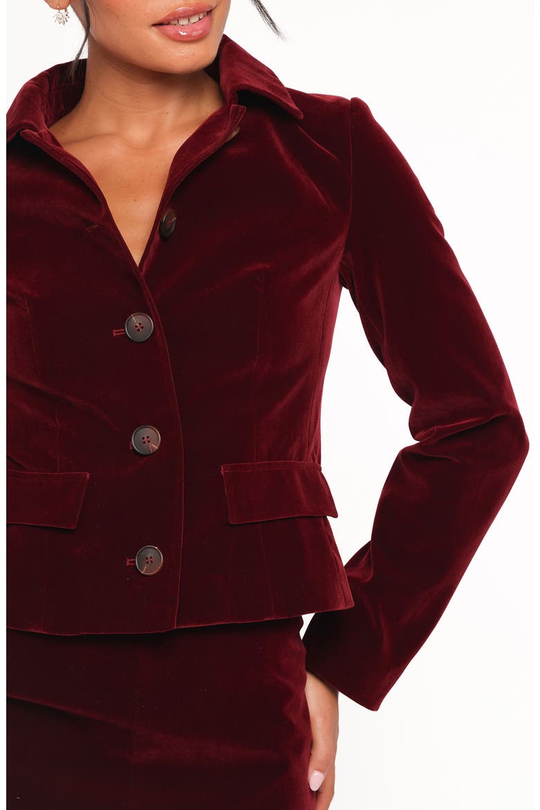 Lainey Crop Velvet Jacket, Alternate, color, BURGUNDY