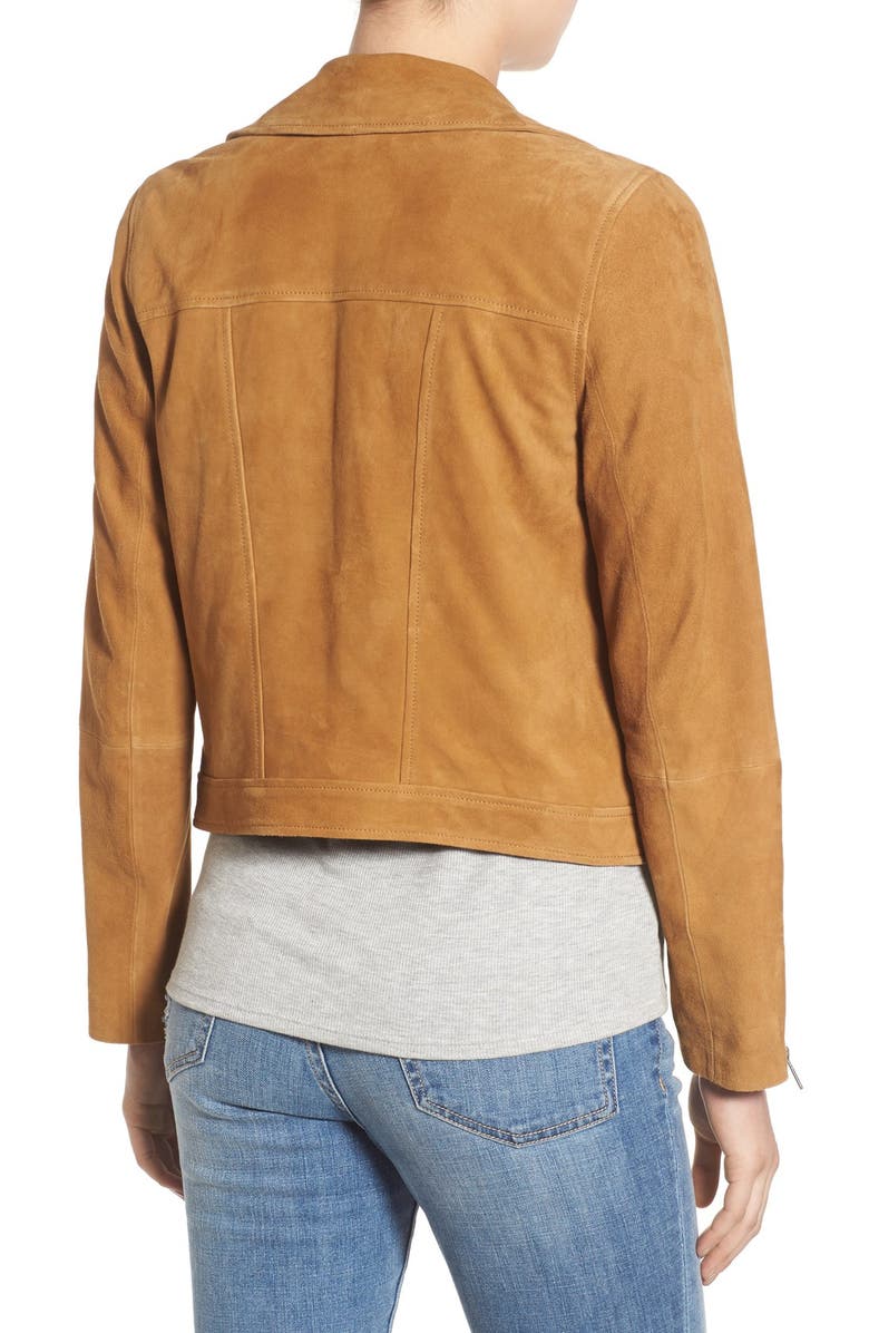 Sun & Shadow Suede Crop Moto Jacket, Alternate, color,