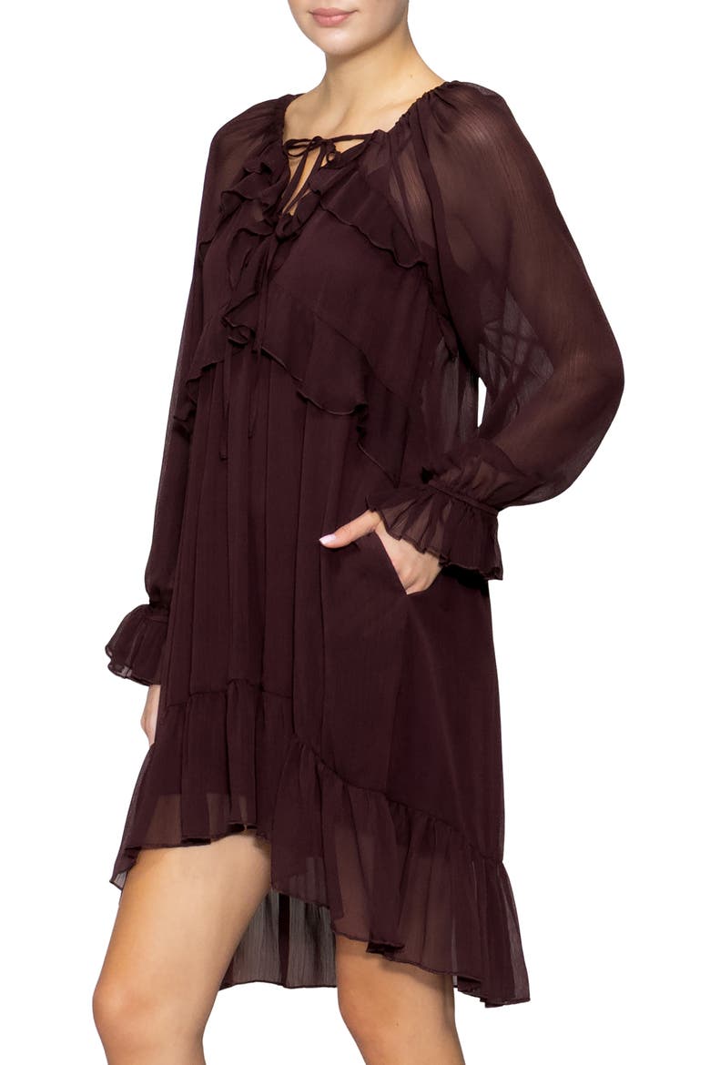 Ruffle Long Sleeve Chiffon Babydoll Dress, Alternate, color, MAROON